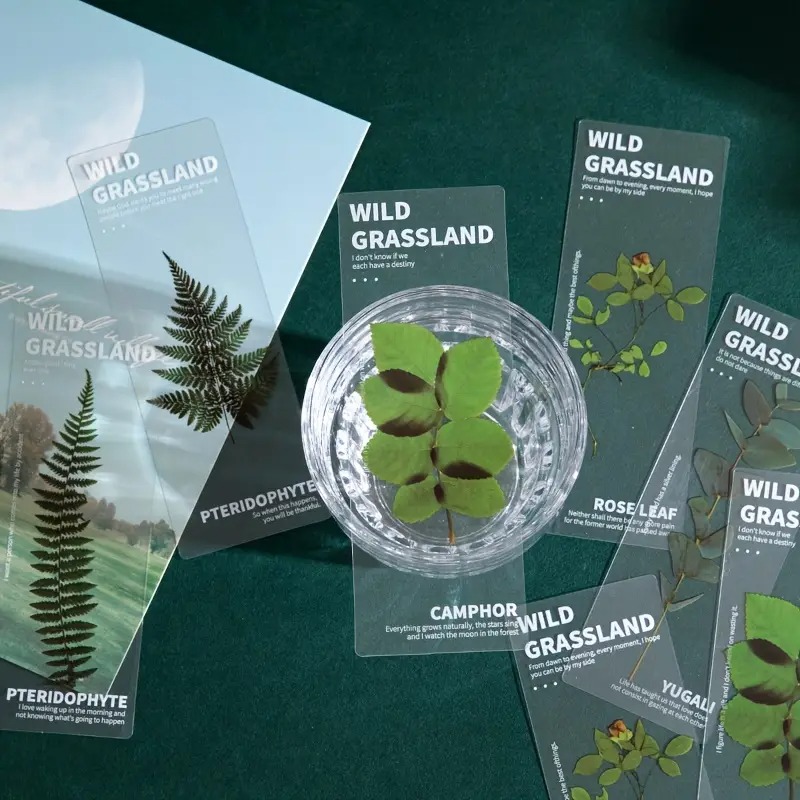 5 ชิ้นชุดดอกไม้บุ๊คมาร์คสําหรับหนังสือ PVC Book Mark Page Marker เครื่องเขียนน่ารักนักเรียนโรงเรียน