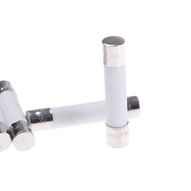 10 stuks magnetron keramische zekering elektrisch 20A 250V thuisbenodigdheden doe-het-zelf 6x30mm