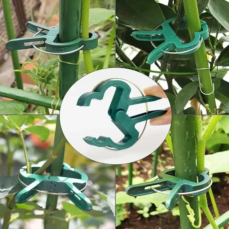Clips fijos para plantas, soporte reutilizable para invernadero de jardín para plantas fijas, soporte para tallo de plántula de flor de vid, suministros de jardín