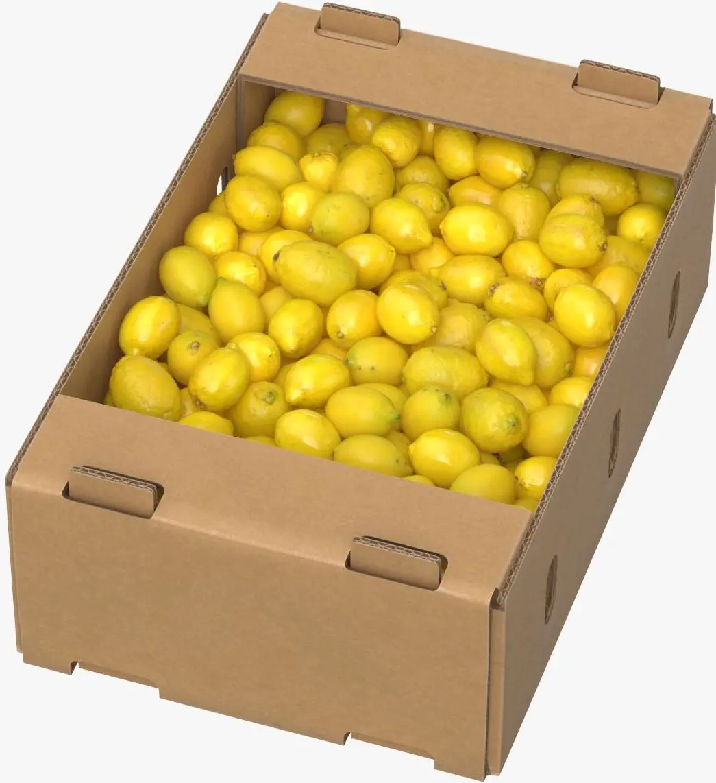 Deliciosos limones de calidad 4 kilo o 9 kilo estándar con un sabor, forma y textura muy agradables