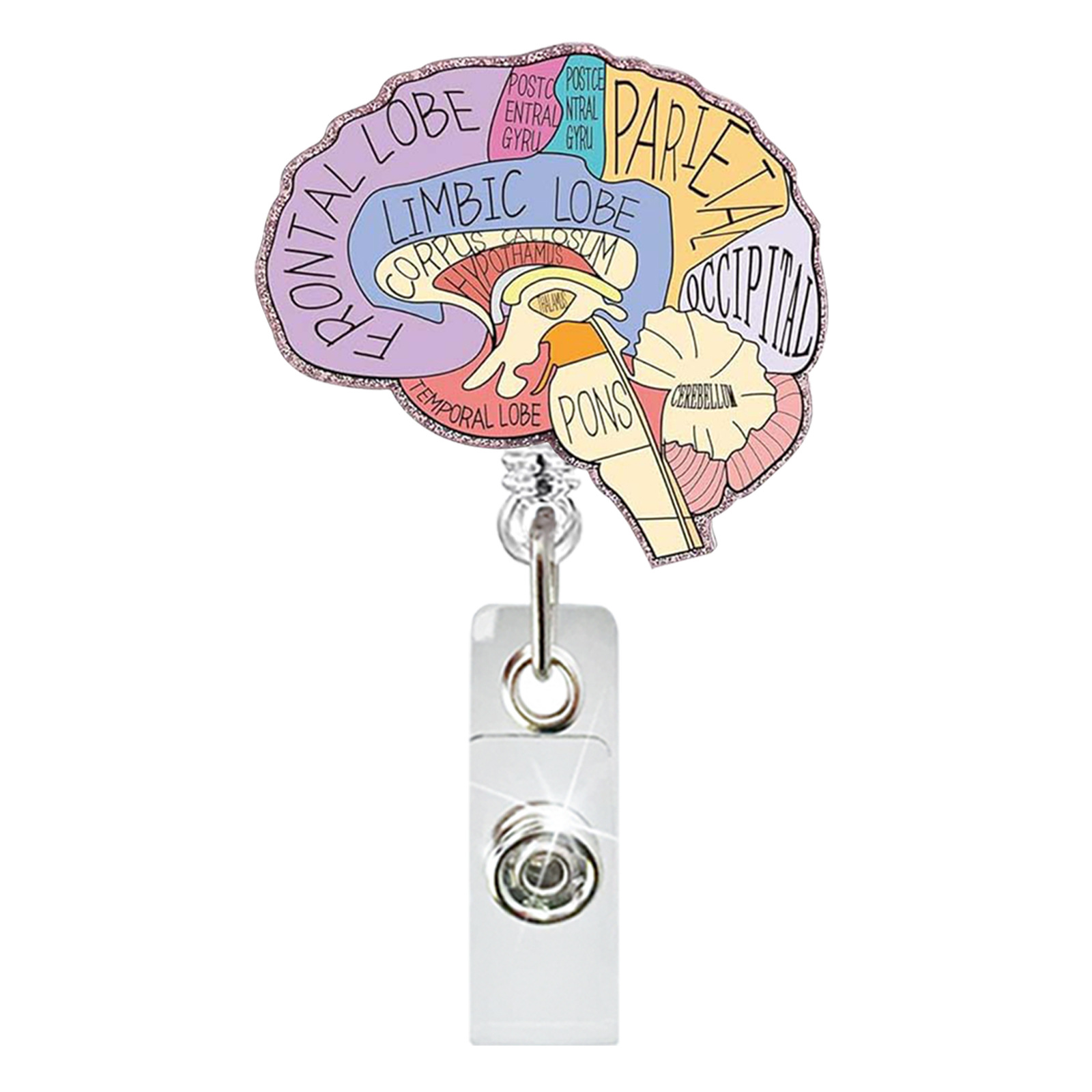 Carrete de insignia de enfermera de acrílico, soporte de identificación retráctil con Clip de cocodrilo giratorio 360, para el cuidado médico, corazón, pulmones, cerebro