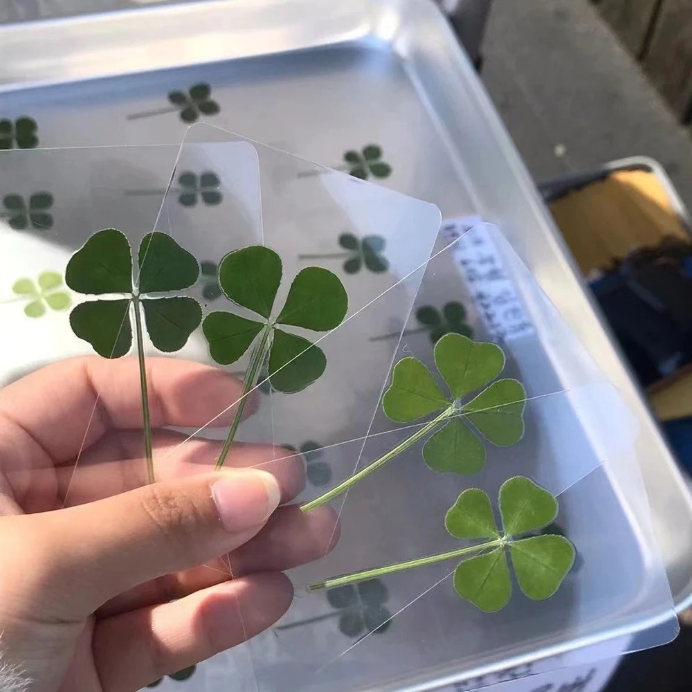5Pcs Lucky Clover Postcards Transparent Wishing Cards Ideal for Bookmarks & Decorations Perfect Holiday Gifts