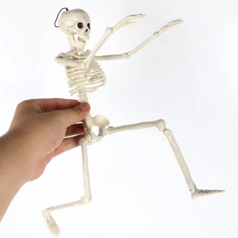 Skeleton Halloween Decorations 40cm Posable Funny Lifelike Plastic Skeletons for Haunted House Graveyard Scene Party Props Decor