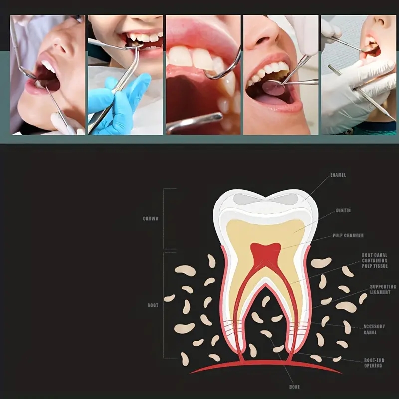 3 SZTUK Narzędzia dentystyczne ze stali nierdzewnej Podwójna sonda Lustro doustny Zestaw narzędzi dentystycznych Pielęgnacja zębów Czyszczenie jamy ustnej Zestaw do czyszczenia jamy ustnej