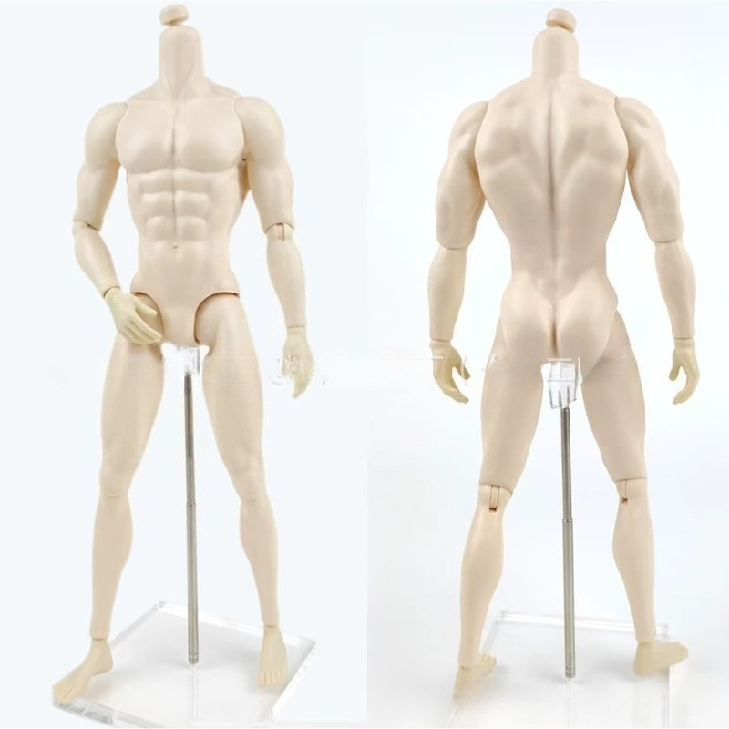 Мужское тело куклы 30 см для куклы 1/6 FR с белой/обычной/коричневой кожей, игрушки, аксессуары
