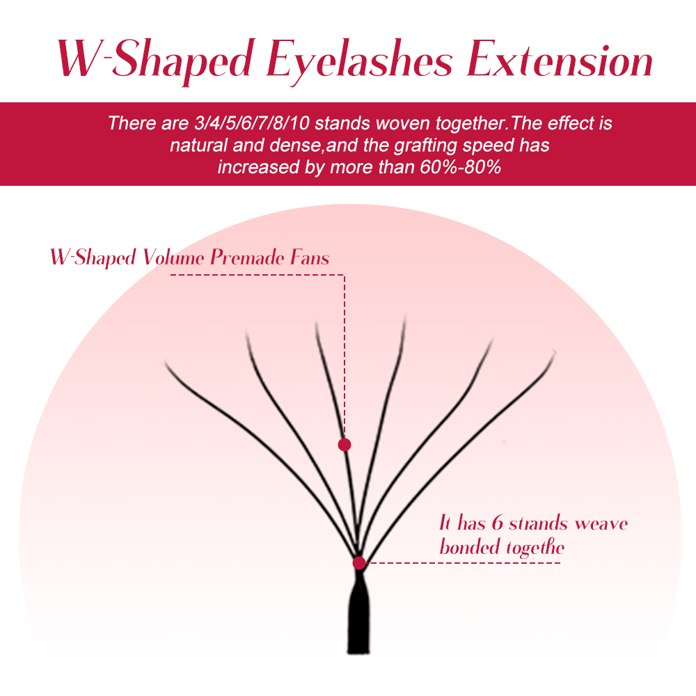 Fadvan 6D W Hình Cây Nối Mi