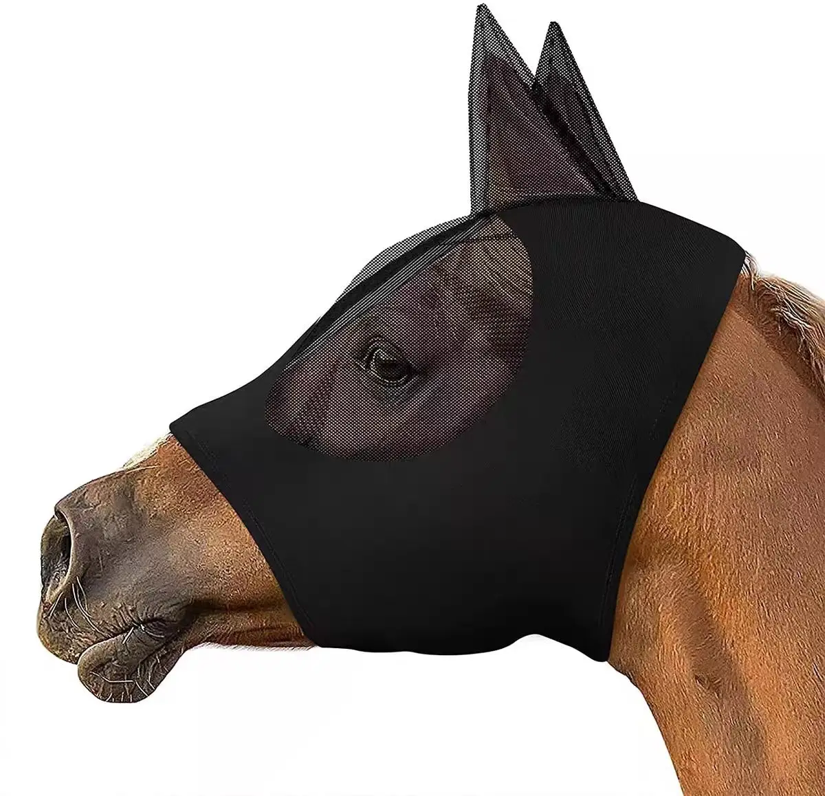 Attrezzatura equestre Custodia protettiva per coda di cavallo Borsa portaoggetti per coda di cavallo Borsa protettiva Coda di cavallo Cura di bellezza Repellente per zanzare Ding