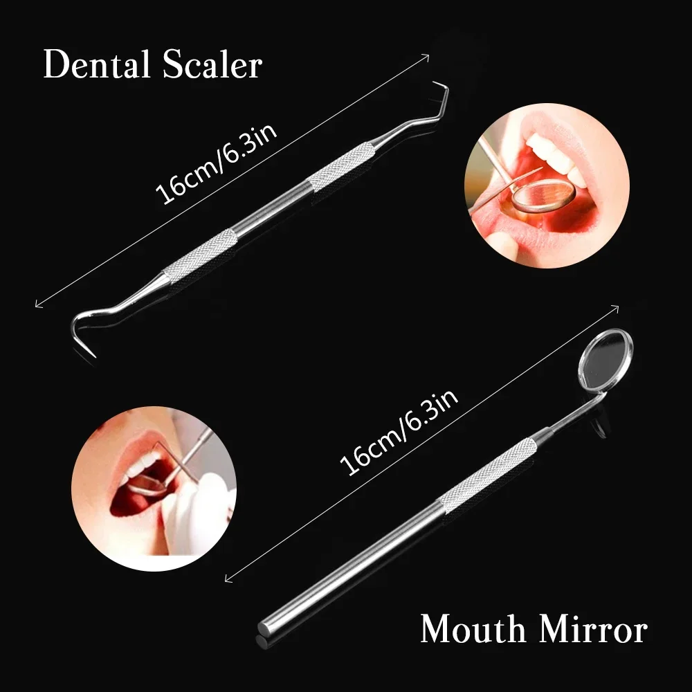 Kit per la pulizia dentale Scaler per tartaro in acciaio inossidabile Strumenti per lo sbiancamento dei denti Set per dentista portatile per l'igiene orale con detergente endoscopico