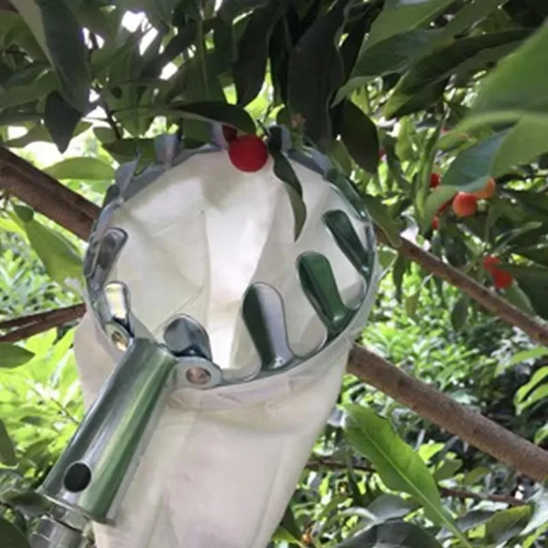 1pc ferramenta de selecionador de frutas, ferramenta de selecionador de cereja de metal, cabeça de cesta de selecionador de frutas, acessório de colheitadeira de frutas ferramentas de hardware de jardim