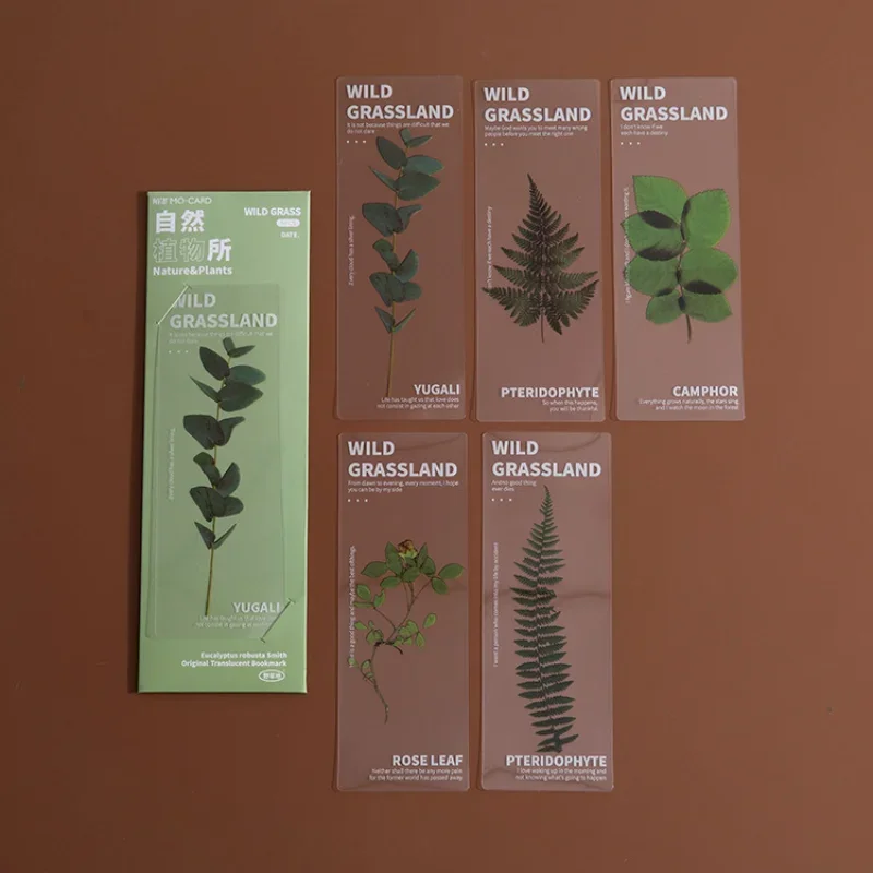 5 ชิ้นชุดดอกไม้บุ๊คมาร์คสําหรับหนังสือ PVC Book Mark Page Marker เครื่องเขียนน่ารักนักเรียนโรงเรียน