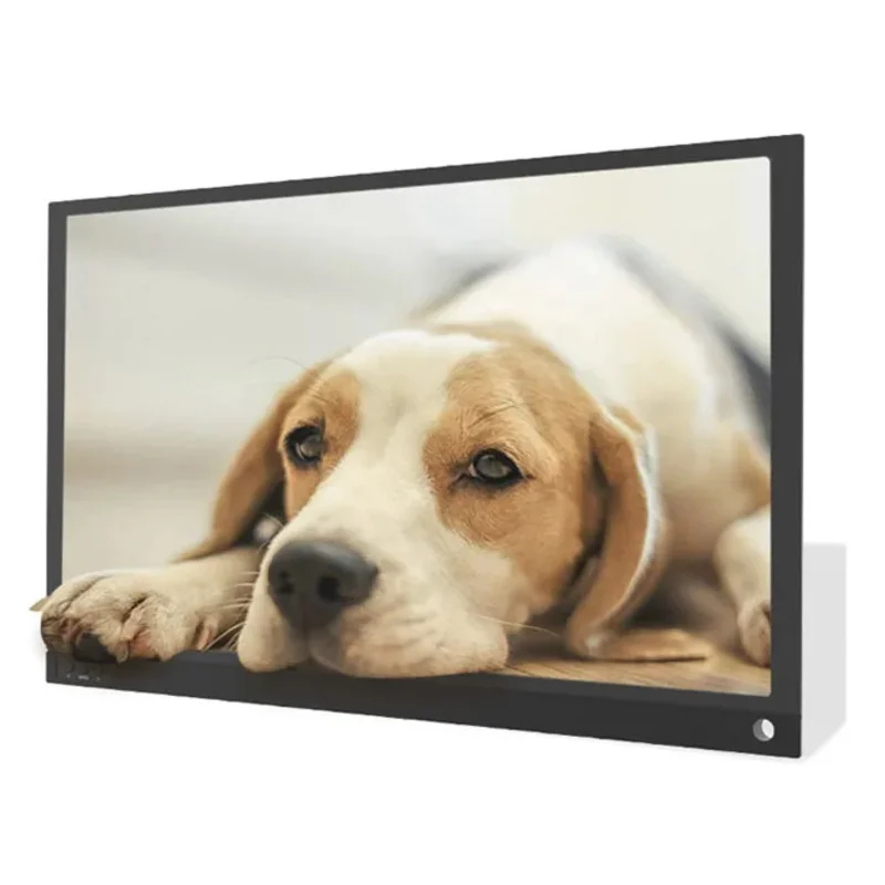 15.6 Inch FHD 1080P 72% SRGB Computer Display IPS Display Game Monitor for Laptop PC Phone Gaming Console