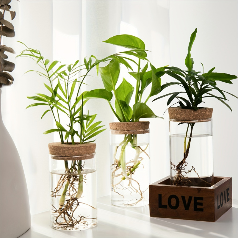 1個、水耕植物デスクトップガラスプランター花瓶家の装飾用、植物繁殖ステーションつぼみ花瓶、デスクトップ水耕栽培