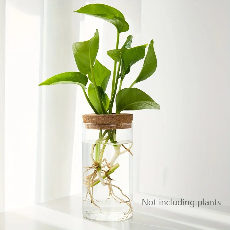 1個、水耕植物デスクトップガラスプランター花瓶家の装飾用、植物繁殖ステーションつぼみ花瓶、デスクトップ水耕栽培