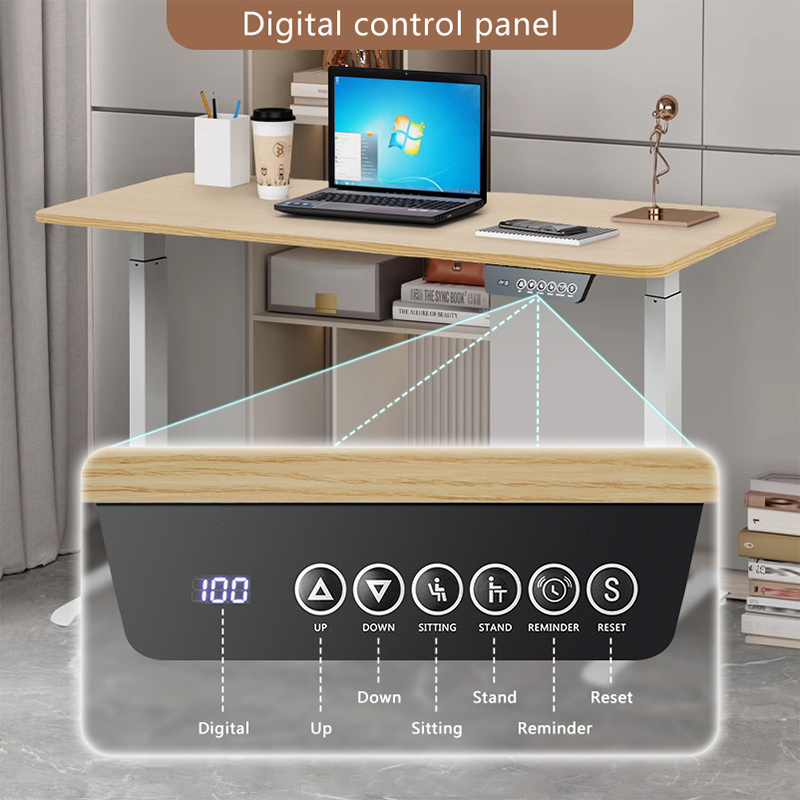 Dual Motor Standing Desk, Electric Height Adjustable Stand Up Desk, Electric Sit Stand Desk for Study Desk Smart Computer Desk