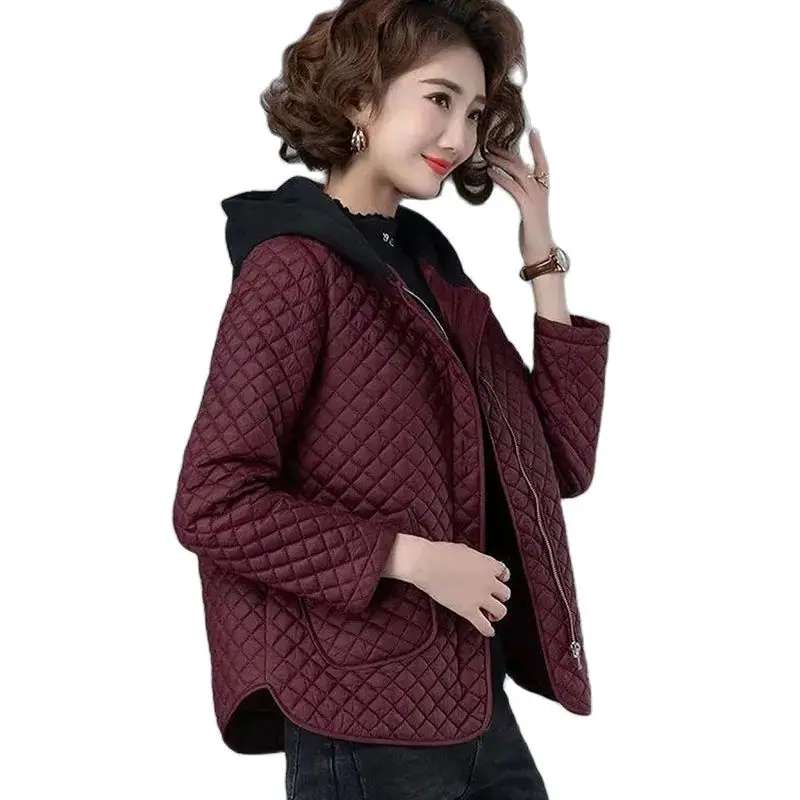 Veste matelassurera en coton léger pour femme, manteau à capuche, mode coréenne, moyen âge, décontracté, automne, hiver, nouveau