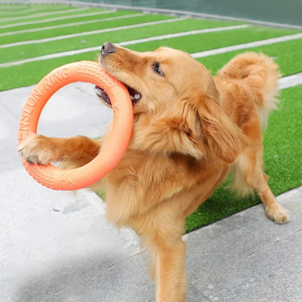 Hunderingspielzeug, unzerstörbar, zum Kauen, Fliegen, schwimmende Trainingsgeräte, Apportieren für kleine, mittelgroße und große Hunde, Werfen, Fangen, Fliegen