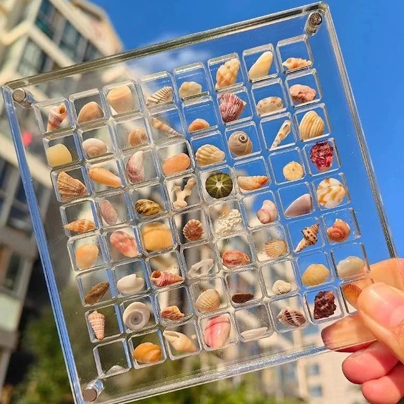 Hoge kwaliteit acryl schelp displaydoos met magneten Duurzame zeesterren Trinket opbergdoos voor kraal nagel sieraden cadeau