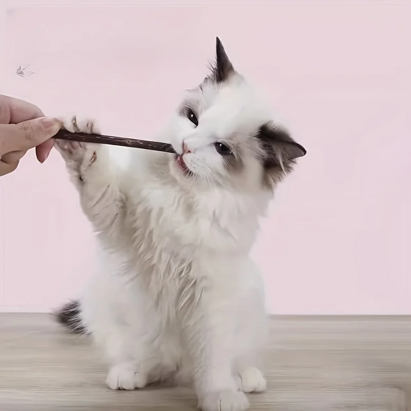 10/15/20 ชิ้น/ล็อต Catnip sticks,สัตว์เลี้ยงแมวของเล่น,ไม้ธรรมชาติ polygonum sticks,ทําความสะอาดฟัน,เบื่อบรรเทาขนมขบเคี้ยว