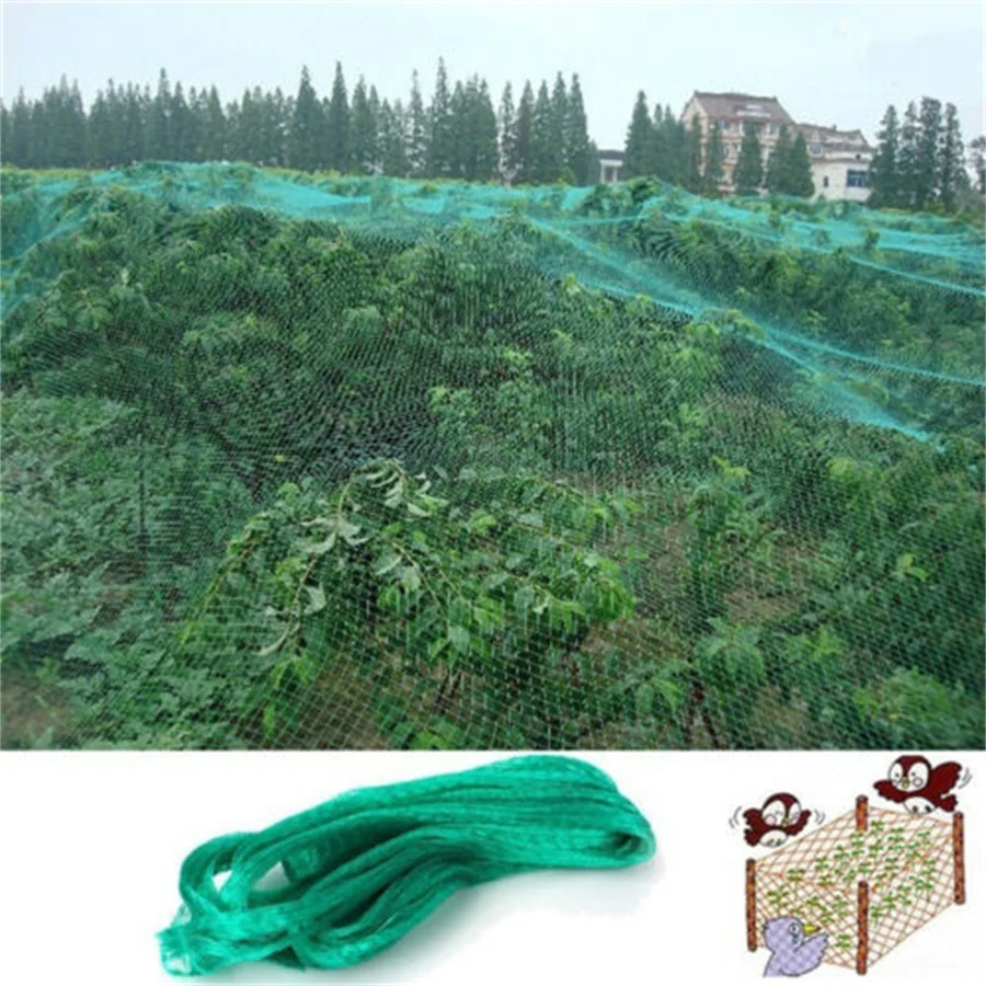 Rete da giardino Rete intrecciata verdeProteggi le piante Frutta Fiori AlberiEscursione elasticizzata Rete durevole ferma uccelliAnni di cervo