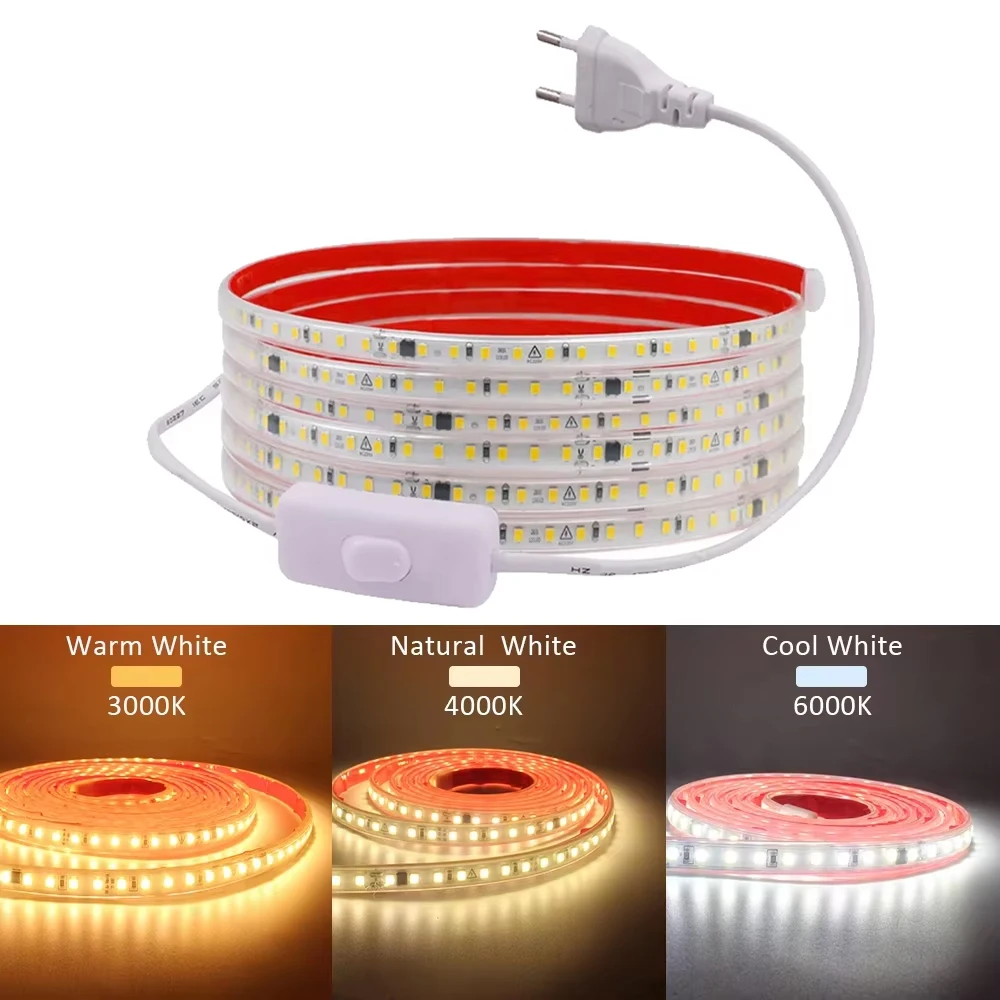 220V IP68 Impermeabile 120LED/m LED Strip Light SMD 2835 Nastro flessibile Lampada ON OFF Interruttore Spina UE per illuminazione esterna
