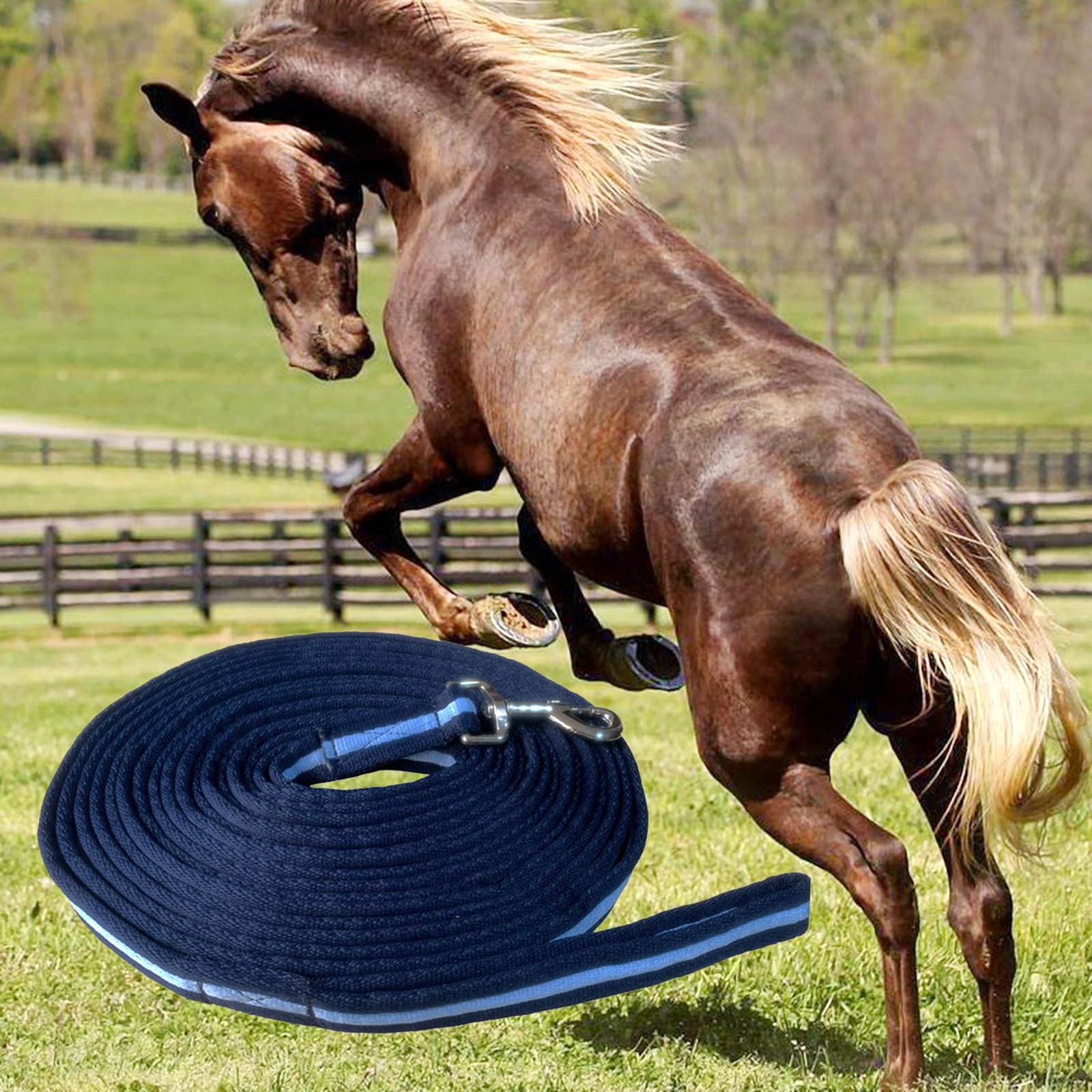 8m Cavallo Corda di Piombo Lunge Line Forte Addensato Guinzaglio di Addestramento per Cavalli per Cani Addensato Resistente Forte Obedienza Recall Corda
