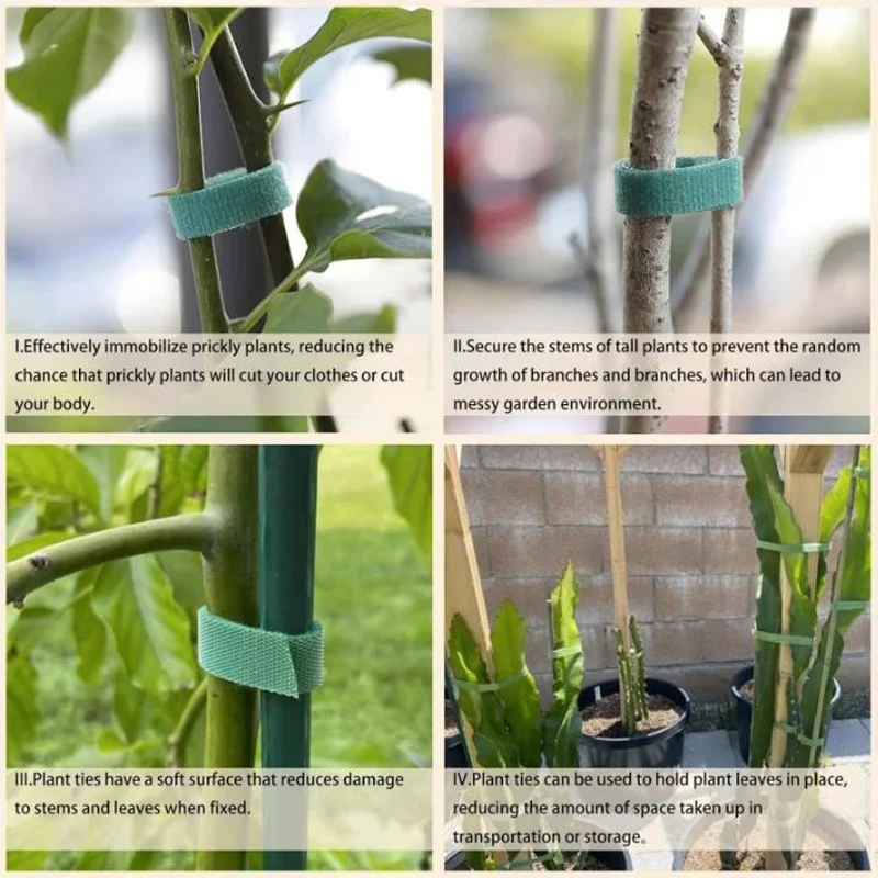 Nylon Plant Bandage Hook Loop Ties vine fixed clips Adjustable Green Fastener Tape Bamboo Cane Wrap Support Garden Accessories
