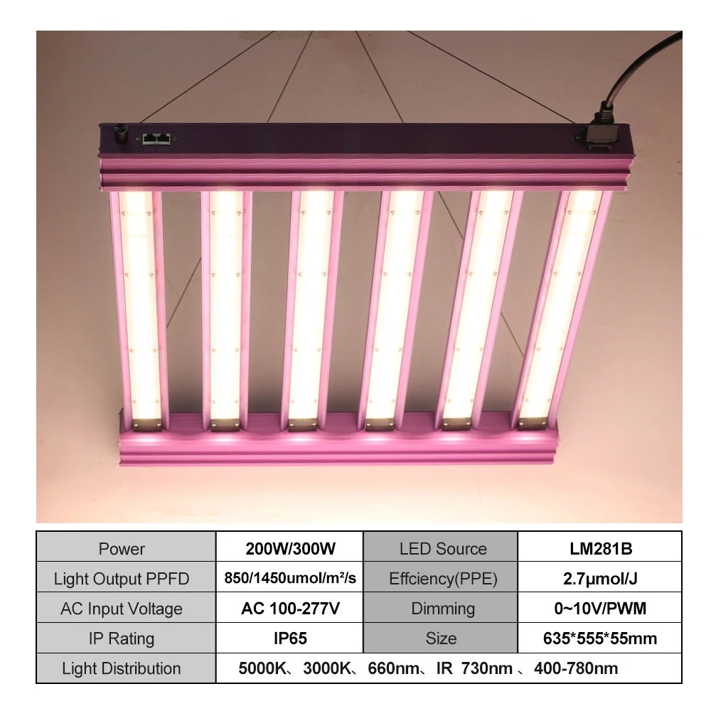 Vollspektrum-LED-Wachstumslicht, 200 W, 300 W, AC100–277 V, LM281B, superhell, Hydrokultur, Gewächshaus, Blumen, Samen, Wachstumslampe