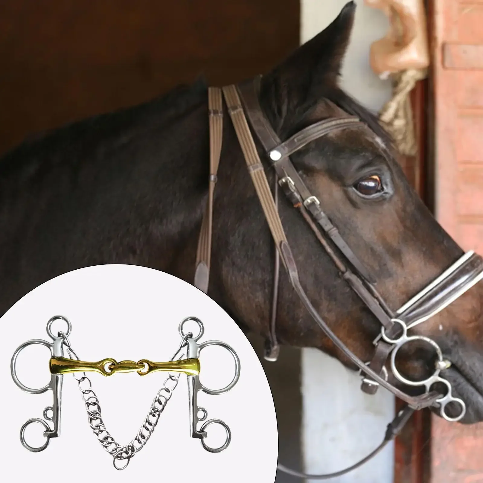 2025 Forniture per attrezzature per imbracatura equestre con punta per cavallo con catena in acciaio inossidabile per punta per cavallo