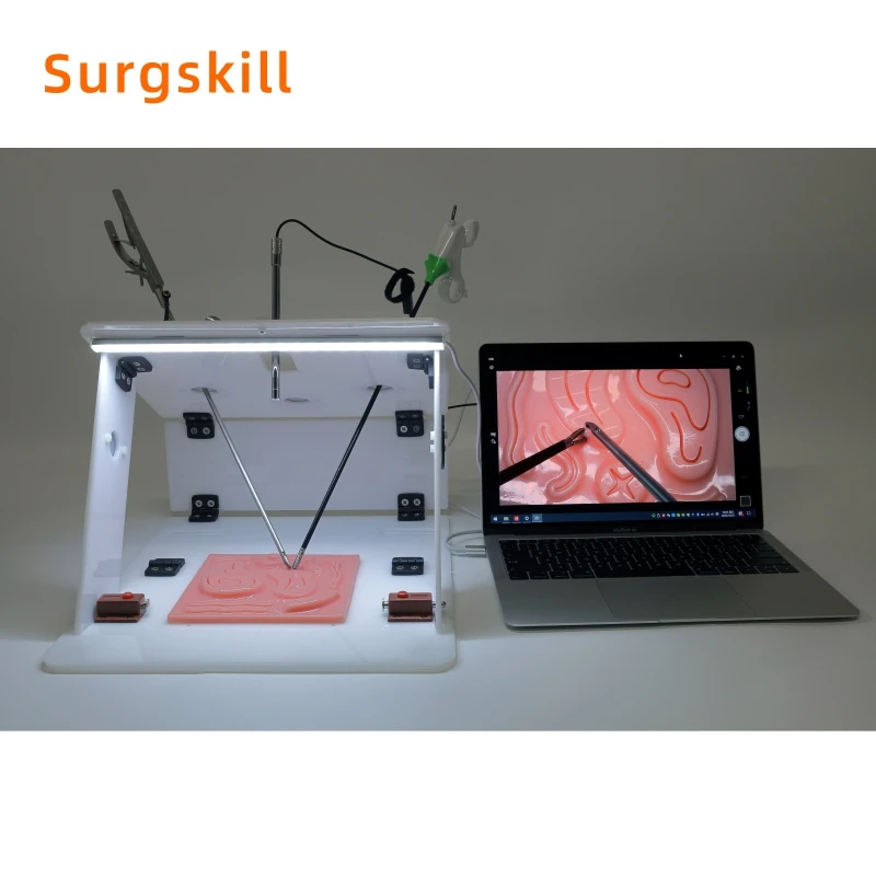 Endo Trainer laparoscopico con telecamera per endoscopio HD, simulatore di laparoscopia per l'allenamento della chirurgia addominale