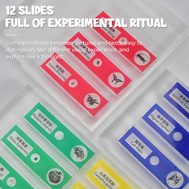 Pocket Microscope Kids Science Toy Kit 60-120x Educational Mini Handheld Microscope with LED Light Outdoor Children Stem Toy