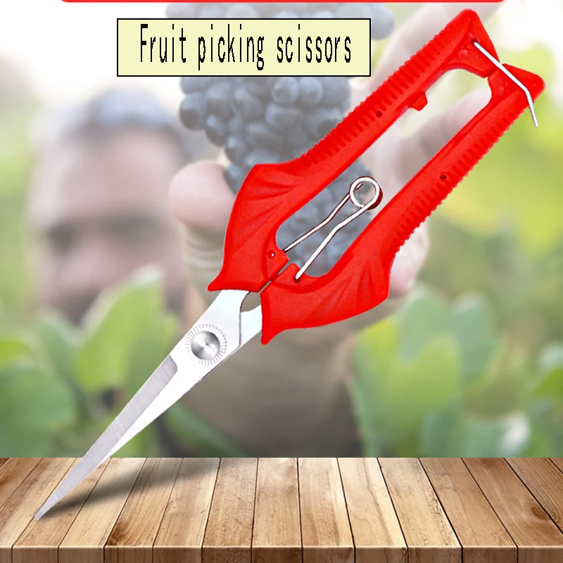 Gardening pruning shears fruit tree fruit picking bonsai pruning scissors tools