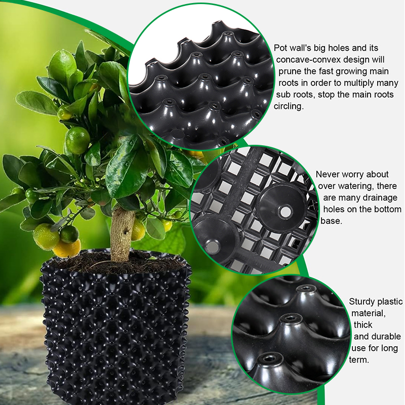 Air Pruning Plant Root Control Nursery Pots เทรนเนอร์ Fast Root Grow คอนเทนเนอร์สวนต้นไม้บอนไซปลูกผมเครื่องมือ Fast เนอสเซอรี่หม้อ