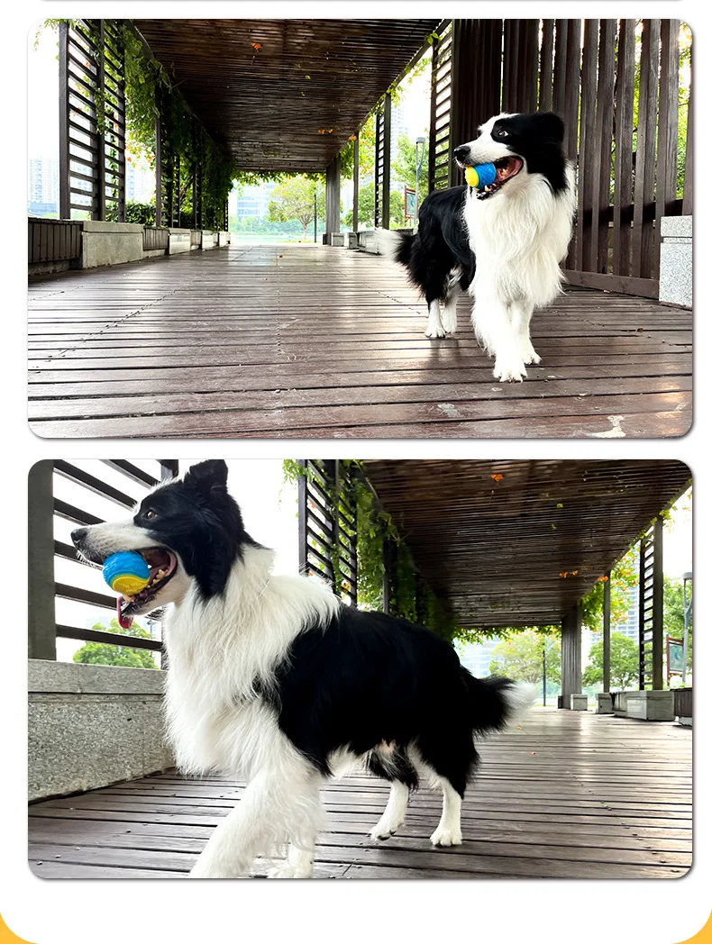 สัตว์เลี้ยงสุนัขของเล่นสุนัขเคี้ยวฟันทําความสะอาดTreatment Ball Interactive Sound Elastic Ball
