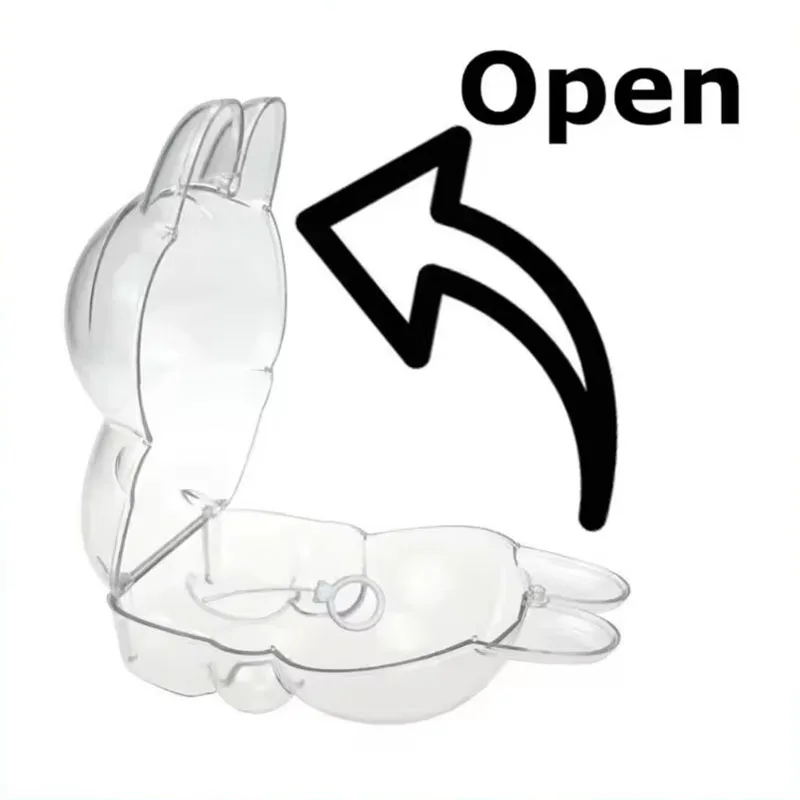 Für Labubu Transparente Schutzhülle Puppe Display Tasche II Mini Tragbare Aufbewahrungsbox für Stofftiere Klare PVC Aufbewahrungskoffer