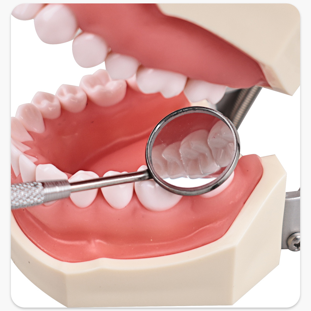 12 ピース/箱歯科ステンレス鋼歯科口ミラー 4/5 防曇前面歯科ミラー高品質歯科機器