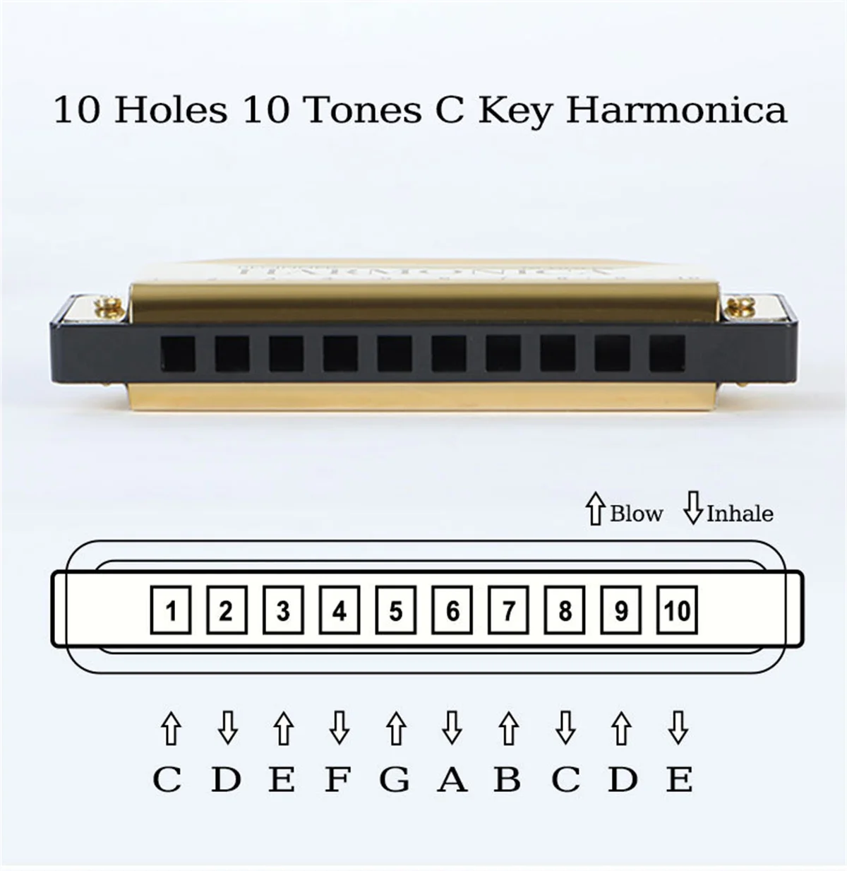Miwayer 10 Holes Harmonica Key of C ,  Colorful Metal Shell  with Case for Beginner Students Kids Gift with Case