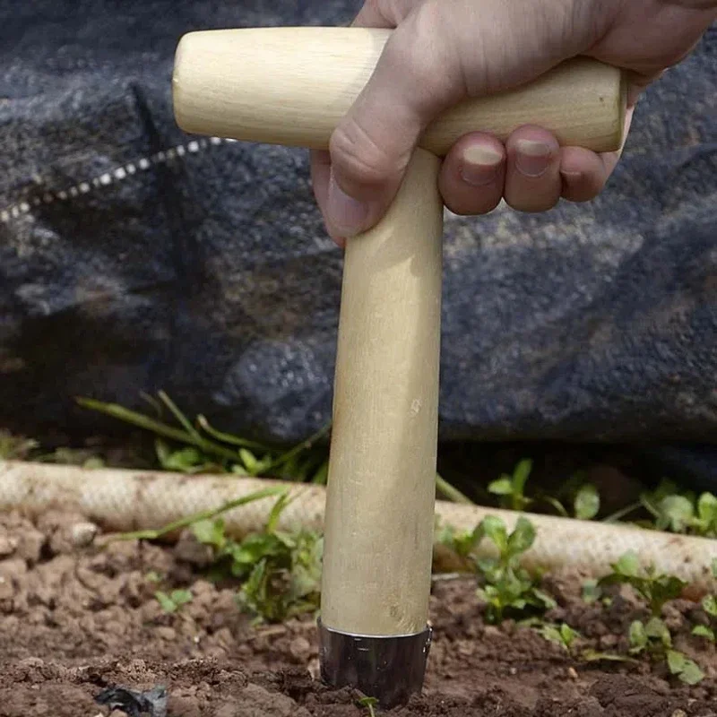 Dibber a mano in acciaio inossidabile con manico in legno per semina di semi, trapianto di piante, piantagione di bulbi