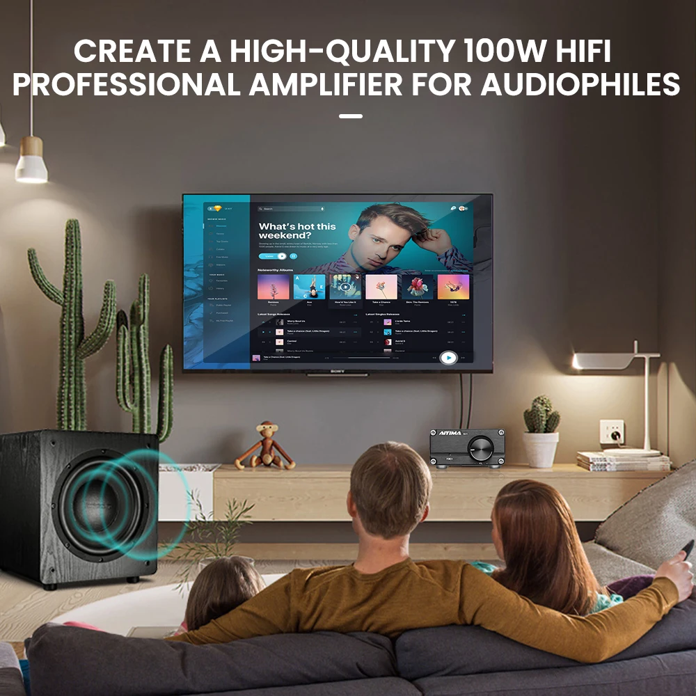 AIYIMA 100W Subwoofer Amplifier Audio Power Amplificador TPA3116 Sound Amplifier Mono Home Speaker Audio Amp For Passive Speaker