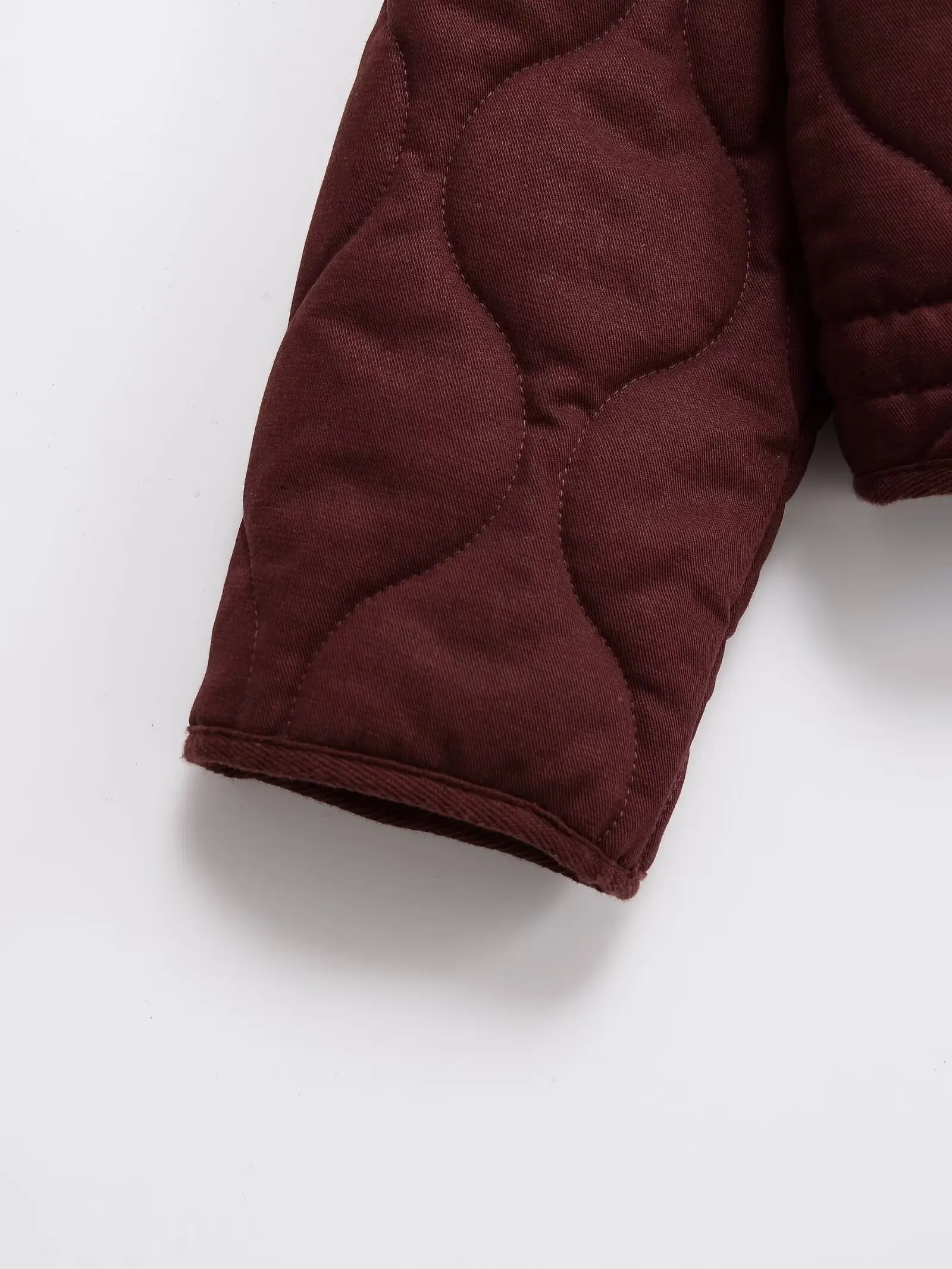 Veste matelassée en coton chaud pour femme, nouvelle Collection d'automne 2021, série Simple, sélection multicolore, col montant