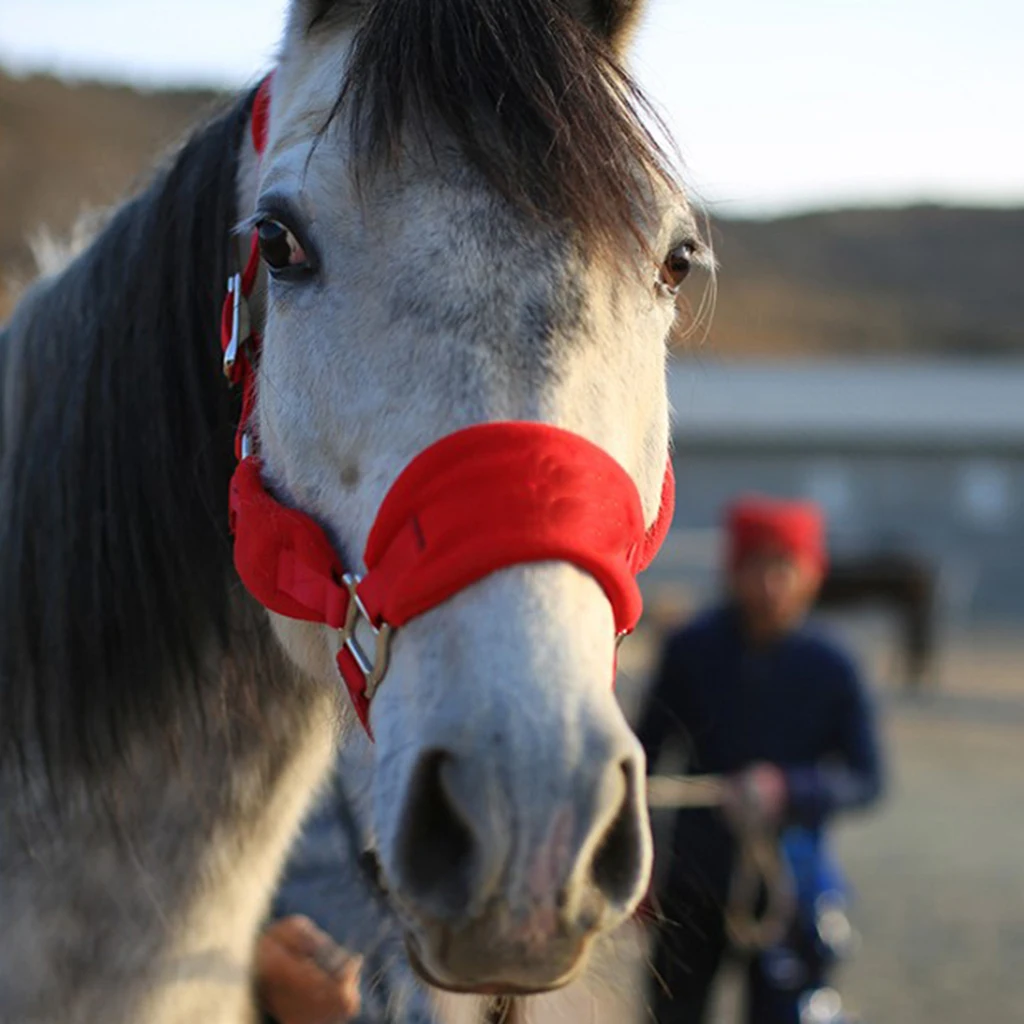 Horse Halter Bridle Rein Detachable Head Collar Strap Stable Protective