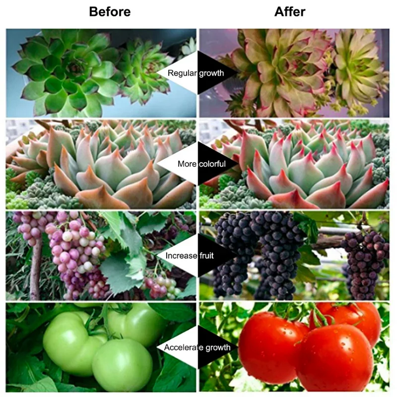 LED 成長ライト屋内サプリメントライト植物成長ランプ温室植物ランプ成長赤青水耕栽培ライトストリップ