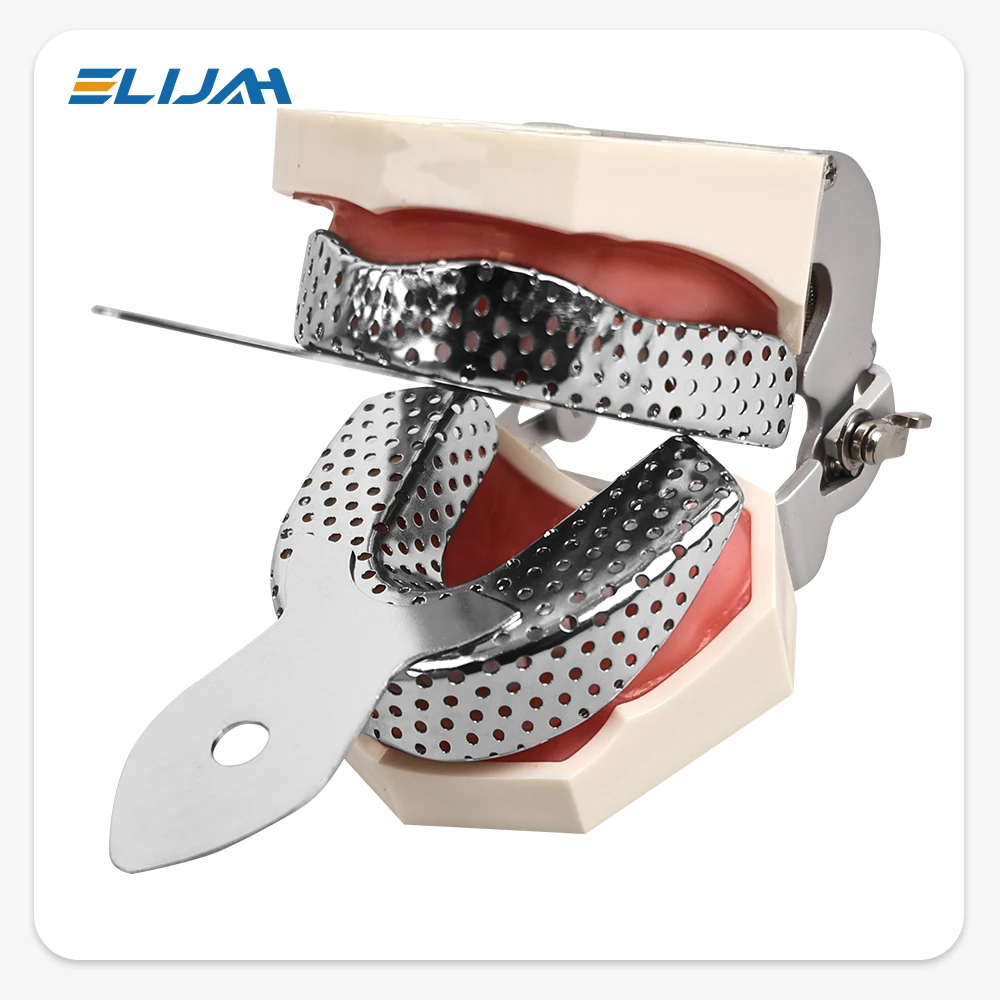 2 ชิ้นสแตนเลสสตีลทันตกรรม Impression ถาด Upper ฟันผู้ถือ Denspay Autoclavable ฟันปลอมฟันปลอมถาดทันตกรรม Lab เครื่องมือ