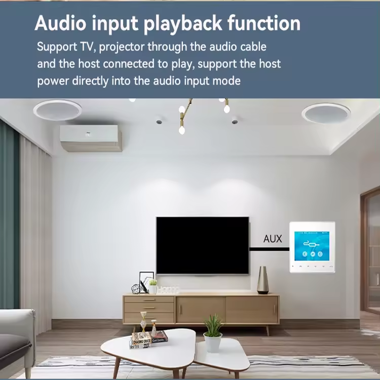 Wall Amplifier Bluetooth5.0 TF Card FM Home Theater Hotel Audio Player 2.8-Inch Touch Button Indoor Background Music System-J