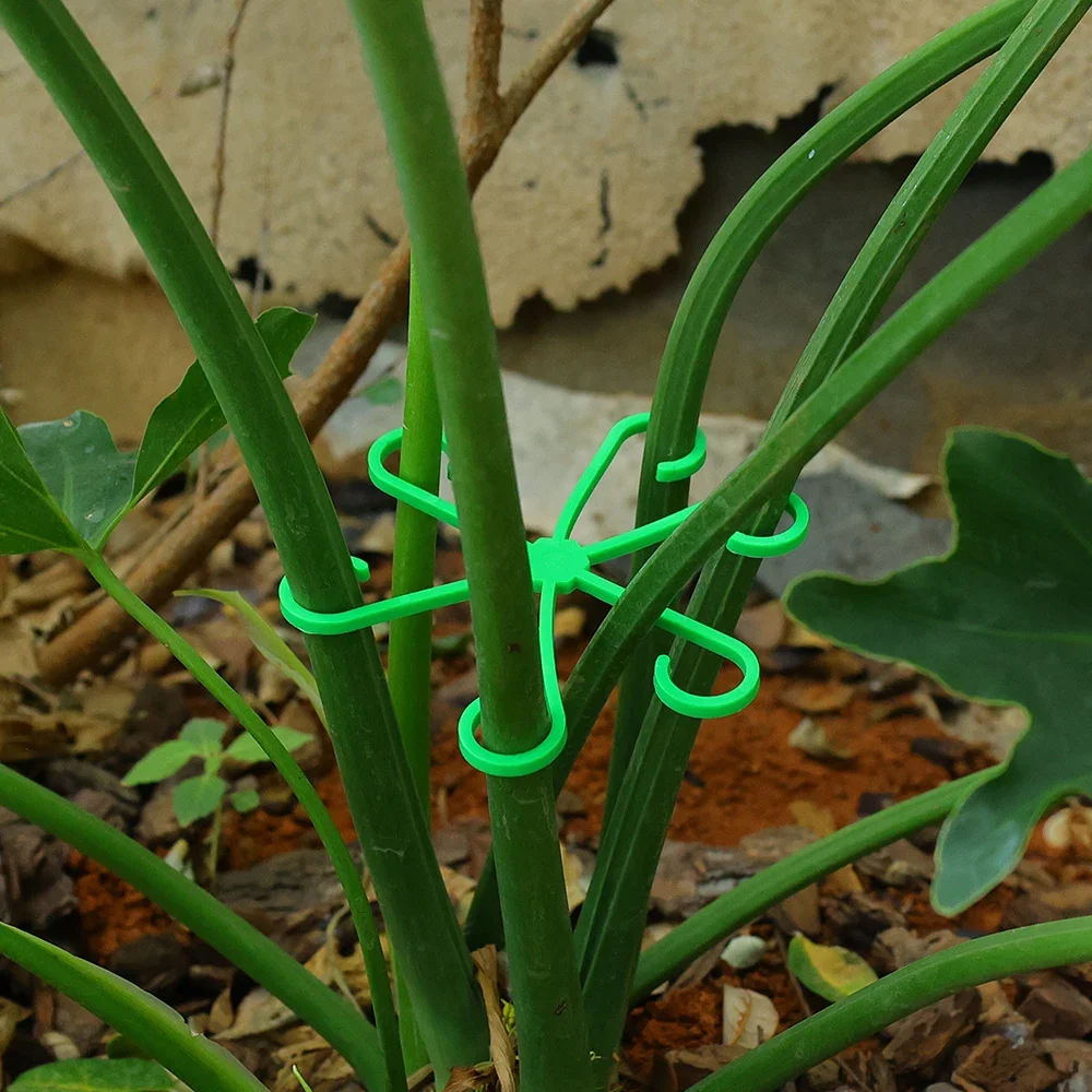 4PCS Wiederverwendbare Anlage Stem Klapp Rahmen Garten Werkzeuge Kein Pfahl Spalier Anlage Stem Unterstützung Unterstützung Zweige Stem Organizer