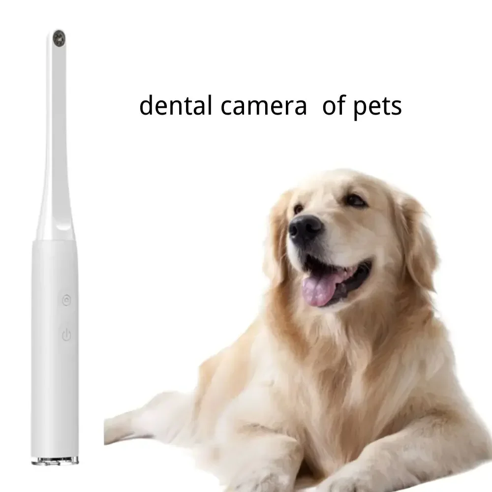 Wireless Wifi Visual Endoscopy Video Inspection Camera with 720P HD 6 LED Lights for Android and iOS Home Care System