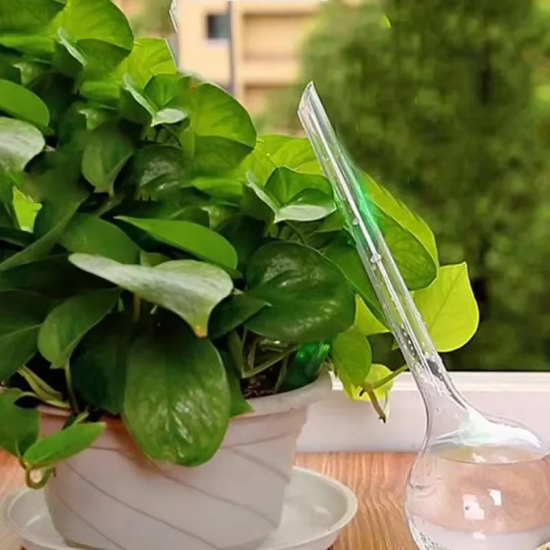 Alimentatore d'acqua per piante Sfere di plastica automatiche Dispositivo per l'acqua da giardino Piante Lampadine per irrigazione Dispositivi per l'irrigazione a goccia con irrigazione automatica
