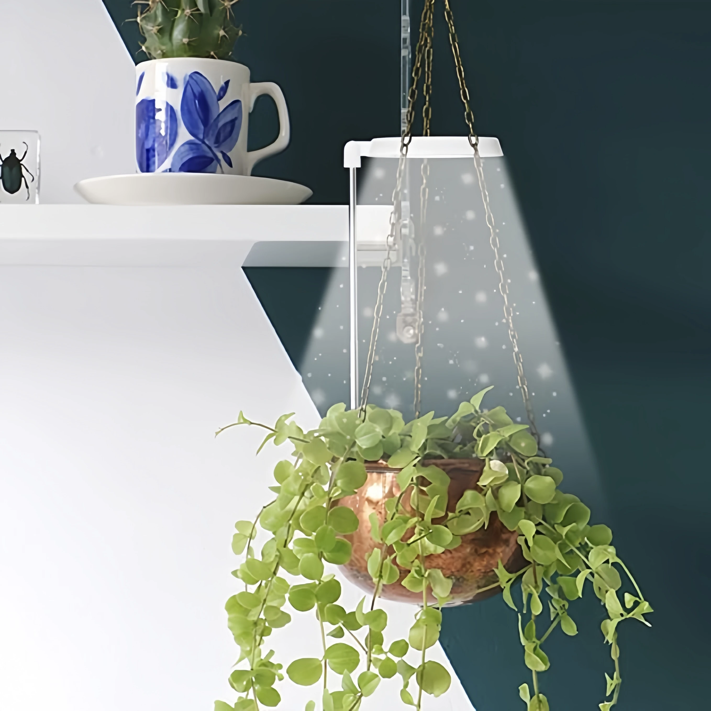 Planta cresce a luz, espectro completo da luz crescente do diodo emissor de luz para plantas internas, altura ajustável, temporizador automático, 5v baixa volta segura