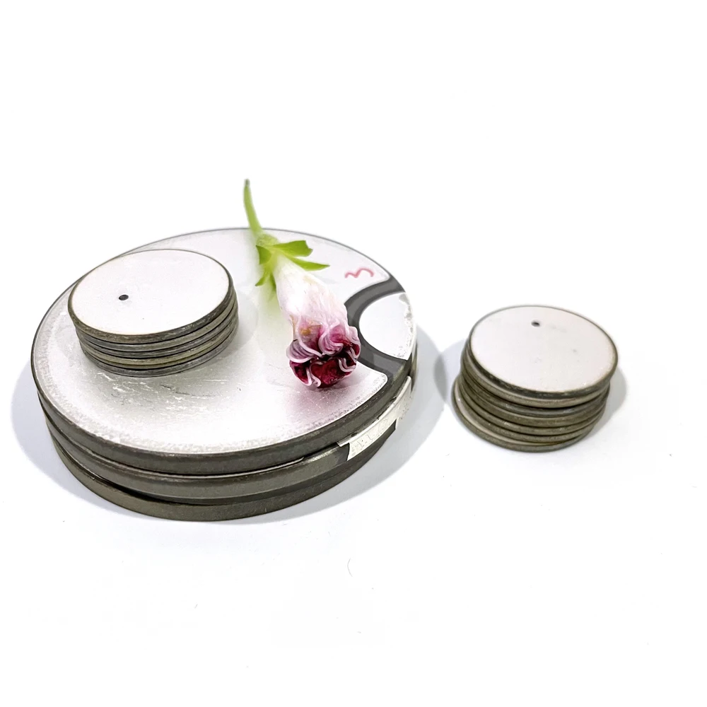 Customize Any Size Pzt Piezo Vibration Element Piezoelectric Ceramic Ring/Tube/Plate/Square/Rectangle