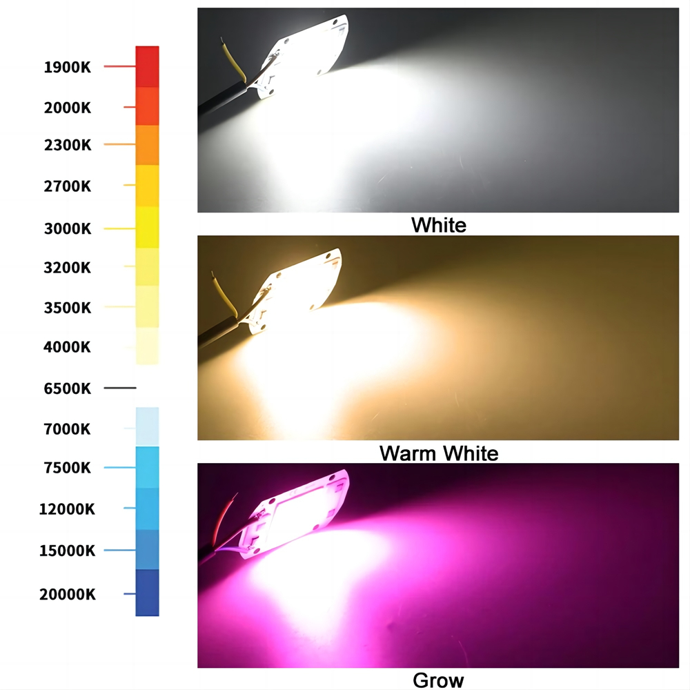 Chip lampada a Led Cob 10W 20W 30W 50W 220V Smart Ic Non è necessario driver 3W 5W 7W 9W Lampada a lampadina a Led per faretto luce di inondazione Illuminazione fai da te
