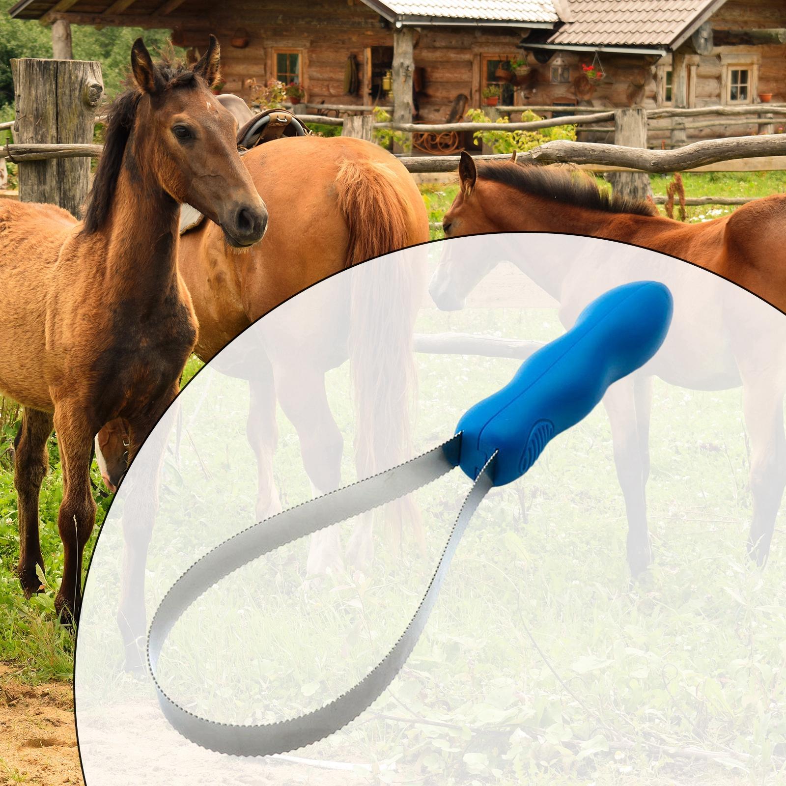 Rascador de cepillo para caballos, cepillo para caballos, duradero, portátil, hoja de caída de doble cara para animales, ganado, todo tipo de perros